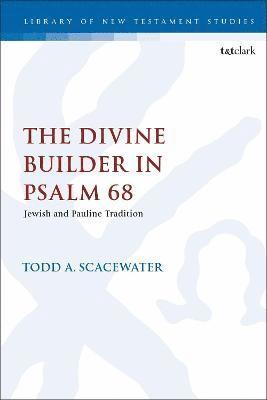 Todd A Scacewater, Chris Keith - Scacewater, T: Divine Builder in Psalm 68, Inbunden