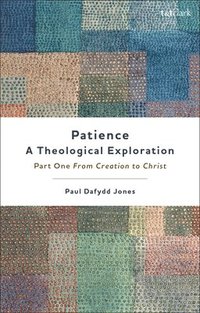 bokomslag PatienceA Theological Exploration