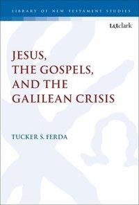 bokomslag Jesus, the Gospels, and the Galilean Crisis