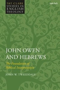 bokomslag John Owen and Hebrews