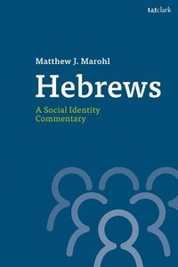 bokomslag Hebrews: A Social Identity Commentary