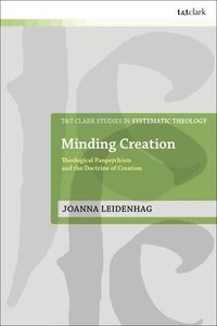 bokomslag Minding Creation