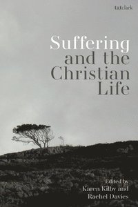 bokomslag Suffering and the Christian Life