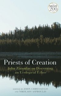 bokomslag Priests of Creation