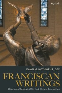 bokomslag Franciscan Writings