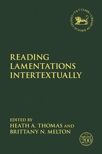 bokomslag Reading Lamentations Intertextually