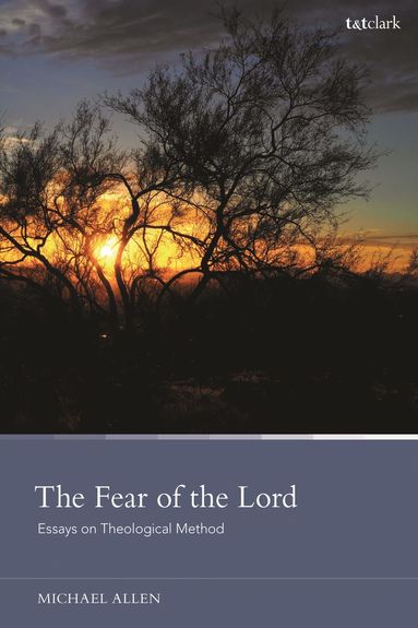 bokomslag Fear of the Lord