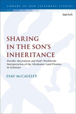 bokomslag Sharing in the Sons Inheritance