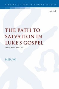 bokomslag Path to Salvation in Luke's Gospel