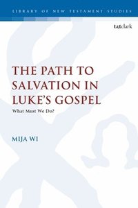 bokomslag The Path to Salvation in Luke's Gospel