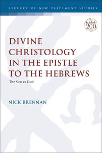 bokomslag Divine Christology in the Epistle to the Hebrews