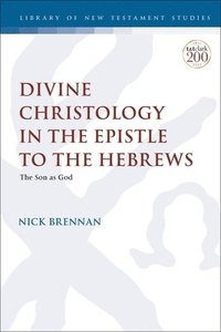 bokomslag Divine Christology in the Epistle to the Hebrews