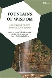 bokomslag Fountains of Wisdom