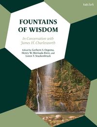 bokomslag Fountains of Wisdom