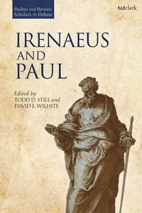 bokomslag Irenaeus and Paul