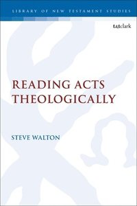 bokomslag Reading Acts Theologically