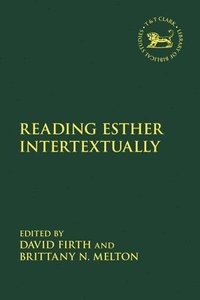 bokomslag Reading Esther Intertextually