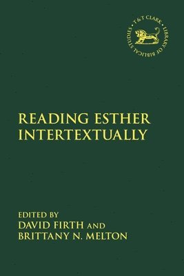 bokomslag Reading Esther Intertextually