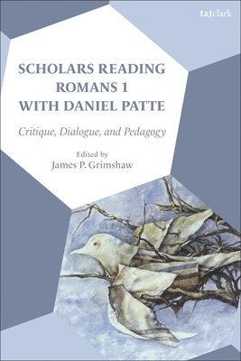 James P. Grimshaw, USA) Grimshaw, Dr James P. (Carroll University - Scholars Reading Romans 1 with Daniel Patte, Häftad
