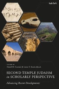 bokomslag Second Temple Judaism in Scholarly Perspective