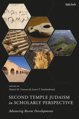 bokomslag Second Temple Judaism in Scholarly Perspective