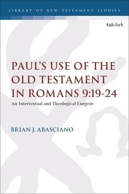 bokomslag Paul's Use of the Old Testament in Romans 9:19-24