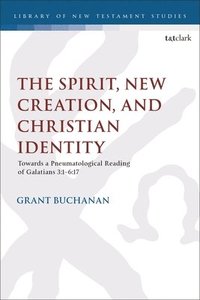 bokomslag The Spirit, New Creation, and Christian Identity