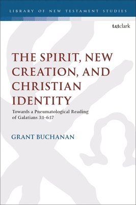 bokomslag Spirit, New Creation, and Christian Identity