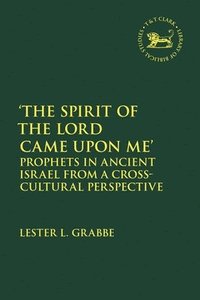 bokomslag 'The Spirit of the Lord Came Upon Me': Prophets in Ancient Israel from a Cross-Cultural Perspective