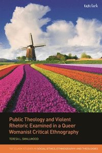 bokomslag Public Theology and Violent Rhetoric Examined in a Queer Womanist Critical Ethnography