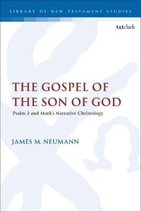 bokomslag The Gospel of the Son of God