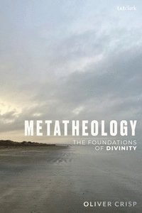bokomslag Metatheology