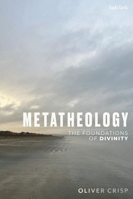 bokomslag Metatheology