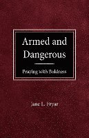 bokomslag Armed And Dangerous