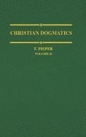 bokomslag Christian Dogmatics