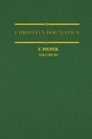 bokomslag Christian Dogmatics