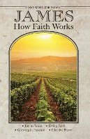 bokomslag James How Faith Works: Gods Word for Today