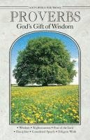 bokomslag Proverbs Gods Gift of Wisdom: Gods WD for Toda