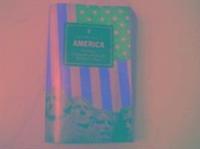 bokomslag Faber Book of America