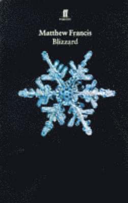 bokomslag Blizzard