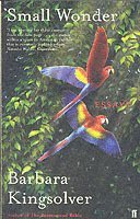 Barbara Kingsolver - Small Wonder, Häftad