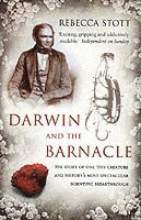 Rebecca Stott - Darwin and the Barnacle, Häftad
