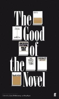 bokomslag The Good of the Novel