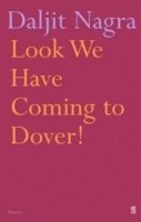 bokomslag Look We Have Coming to Dover!