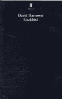 bokomslag Blackbird