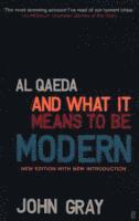 bokomslag Al Qaeda and What It Means to be Modern