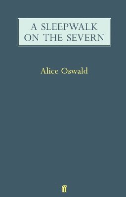 A Sleepwalk on the Severn 1