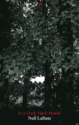 In a Dark Dark House