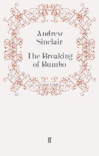 bokomslag The Breaking of Bumbo