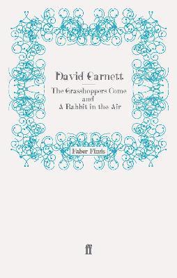 Grasshoppers Come and A Rabbit in the Air